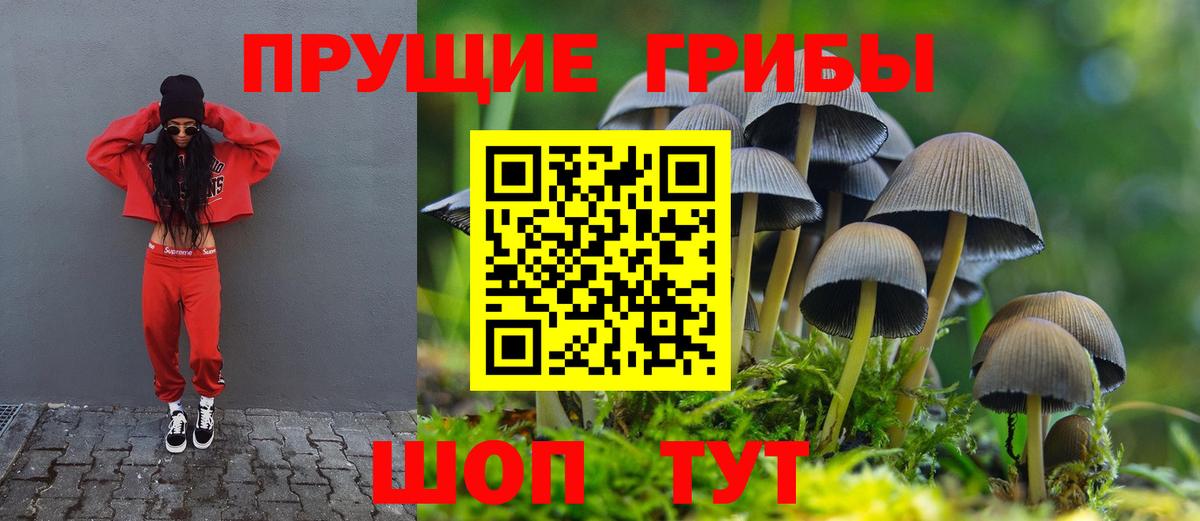 Галлюциногенные грибы GOLDEN TEACHER  Вход с VPN  Семёнов 